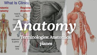 Anatomical Terminologies Anatomical planes terminologíamédica [upl. by Letnahs]