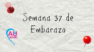 Semana 37 de Embarazo Contracciones y casi al final de mi embarazo [upl. by Angi]