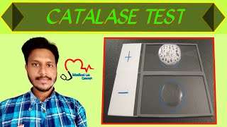 Catalase Biochemical Test in Bangla [upl. by Thierry89]