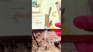 diy WoOd CrAcK repair 😉 SPECIAL tip WiTh super GlUe ad woodworking wood shorts maker [upl. by Haroved]