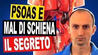 Psoas e Mal di Schiena Scopri il Legame e gli Esercizi di Fisioterapia [upl. by Piks]