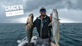 How To Catch Jewfish CONSISTENTLY [upl. by Boyce]