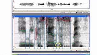 Step by step through a spectrogram [upl. by Neall]