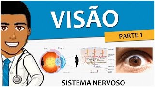 Sistema Nervoso 16 – Visão Parte 1 O Olho e a Retina  Anatomia e Fisiologia Vídeoaula [upl. by Elocaj]