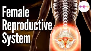 Wzmocnienie narządów rodnych  Regeneracja jajników i macicy  Muzyka uzdrawiająca [upl. by Henleigh]