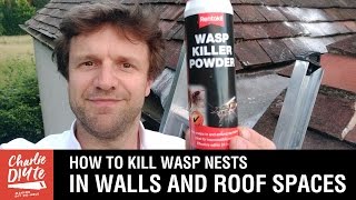 How to Kill Wasps Nests in Walls and Roof Spaces [upl. by Yelwar]