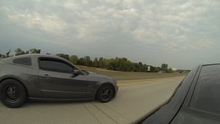 2014 50 Mustang GT vs Cammed LS2 GTO [upl. by Irolav]