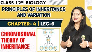 Chromosomal Theory of Inheritance  Principles of Inheritance and Variation Class 12 Biology  L6 [upl. by Win]