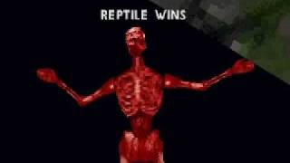 Mortal Kombat 4 Reptile Fatalities [upl. by Stephenson]