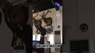 Baluarte Museum P2  Baluarte Vigan Ilocos Sur [upl. by Ydnil]