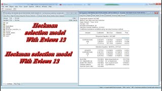 Heckman selection model With Eviews 13 [upl. by Ahsiek693]