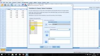 Restructure Variables to Cases in SPSS [upl. by Mervin977]