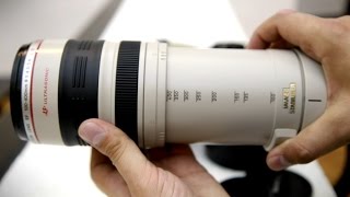 Canon 100400mm f4556 IS USM L lens review with samples APSC and fullframe [upl. by Nibur]