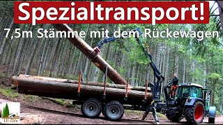 Spezialtransport 75m Stämme mit dem Rückewagen  BMF 14T2Pro amp Fendt 312 Vario [upl. by Bogoch]