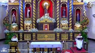 LIVE  Thursday June 13 2024  730 am The Celebration of the Holy Mass [upl. by Garges]