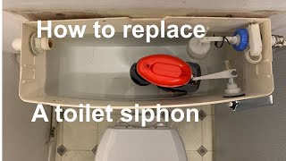 REPLACE A TOILET SIPHON how to replace or repair a broken toilet siphon diaphragm plumbingDIY [upl. by Notserp703]