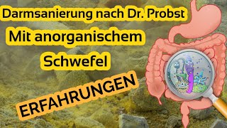 Darmsanierung nach Dr Probst mit anorganischem Schwefel  Erfahrungen [upl. by Drew]