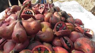 Baksho Badam  Indian Almond  Healthy Fruit Selling in Street  Street Food India amp Travel Places [upl. by Shulman]