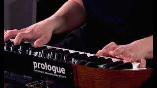 Korg Prologue  All Playing No Talking [upl. by Raynah547]