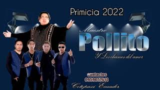 MAESTRO POLLITO Y LOS CHAMOS DEL AMOR TEMA DE SOLTERITO BASILARA PRIMICIA 2022 [upl. by Elder62]