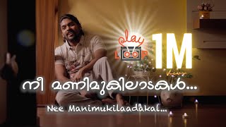 Nee Manimukilaadakal  Play Loop  Vidhu Prathap [upl. by Beora]