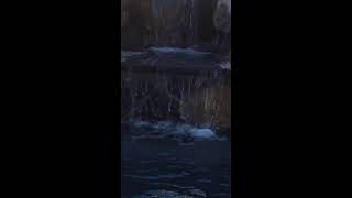 my dog Light is live Relaxing waterfall sounds ￼relaxing water waterfallsounds video [upl. by Hamehseer]