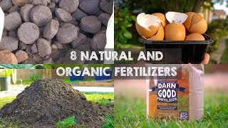 8 Natural and Organic Fertilizers to Grow Big Plants [upl. by Joaquin]