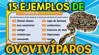 20 EJEMPLOS DE Animales OVOVIVÍPAROS [upl. by Aillimat]