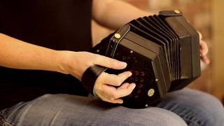 The Phoenix Concertina [upl. by Sihon]