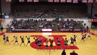 RHS Devilettes 20192020 BB Halftime quotRun Run Rudolphquot [upl. by Ninnette]