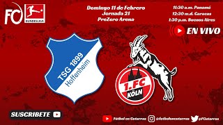 TSG 1899 Hoffenheim VS 1 FC Köln  BUNDESLIGA  Jornada 21 [upl. by Natsyrk554]