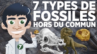 7 types de fossiles hors du commun [upl. by Ylak19]