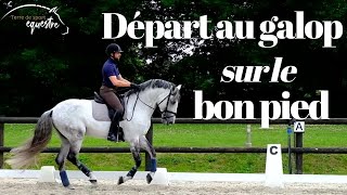 Départ au galop sur le bon pied  Lexercice parfait [upl. by Ziom]