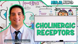 Neuromuscular Junction Synapse Explained nicotinic Acetylcholine Receptors  Clip [upl. by Marthena]