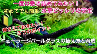 ニューラージパールグラスの植え方と育成【初心者・水草水槽】ADAネイチャーアクアリウム、熱帯魚、コケ対策、小型水槽・大型水槽 立ち上げ、導入のノウハウ公開、６０cm水槽メイキング [upl. by Ayitahs462]