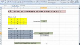 CALCULO DEL DETERMINATE DE UNA MATRIZ CON EXCEL [upl. by Rhoda]