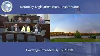 House Standing Committee on Natural Resources and Energy 11824 [upl. by Aidnahs]