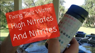 Fixing a nitrite and nitrate spike in the tilapia pond [upl. by Cleaves82]