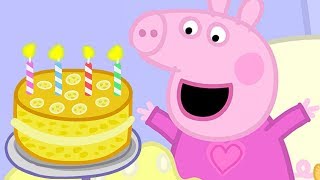 Peppa Pig in Hindi  Mera Janamdin ki Party  हिंदी Kahaniya  Hindi Cartoons for Kids [upl. by Frame458]