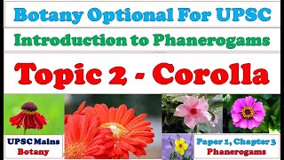 Corolla Structure Types of Corolla Functions of Corolla Importance of Corolla Phanerogams UPSC [upl. by Nigle]