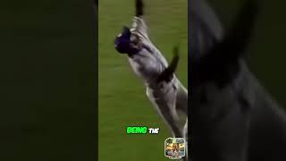 Unbelievable Catch McCrays Spectacular Outfield Grab with Bases Loaded [upl. by Wahl]