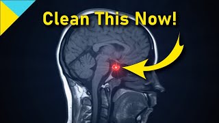 10100 Hertz Heal Pituitary Gland ❯❯❯ WAIT TILL 6 Mins • Quantum Miracle Formula Frequency [upl. by Eirak]