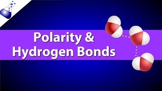 Polar Bonds and Hydrogen Bonds [upl. by Tenaj]