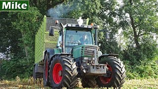 Mais hakselen 2018  Claas Jaguar 940  Fendt 711 515 415  Agriservice BMWW  Voorthuizen  NL [upl. by Angelita]