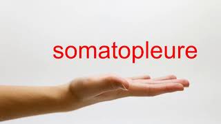 How to Pronounce somatopleure  American English [upl. by Fremont195]