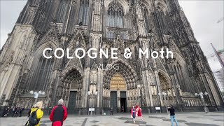 Cologne amp Kim Woosung concert Vlog 2022  Moth Showcase [upl. by Aenal]