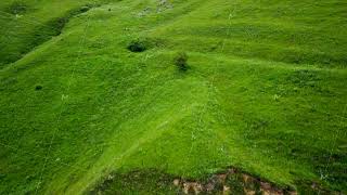 Aerial View of Rolling Green Hills and Lush Forest in a Mountainous Region [upl. by La Verne]