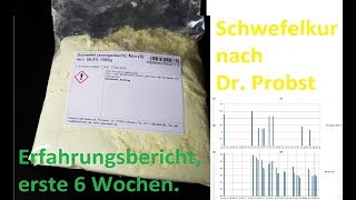 Schwefelkur nach Dr Probst Erfahrungsbericht [upl. by Levitt]