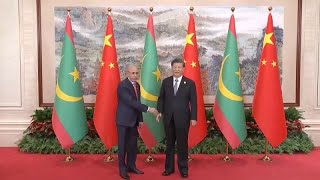 Chinese president meets presidents of Mauritania and Burundi [upl. by Gisele]