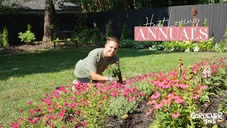 Heat Loving Annuals  Gardener in Love [upl. by Ainniz]